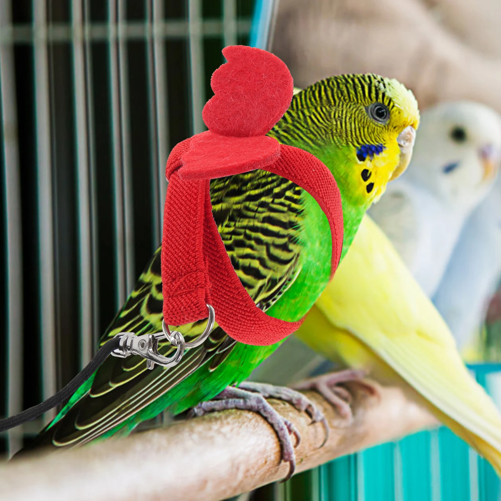 

Parakeet Rope Creative Bird Leash Harness for Parrots Elasticity Nylon Parakeets Outdoor Training