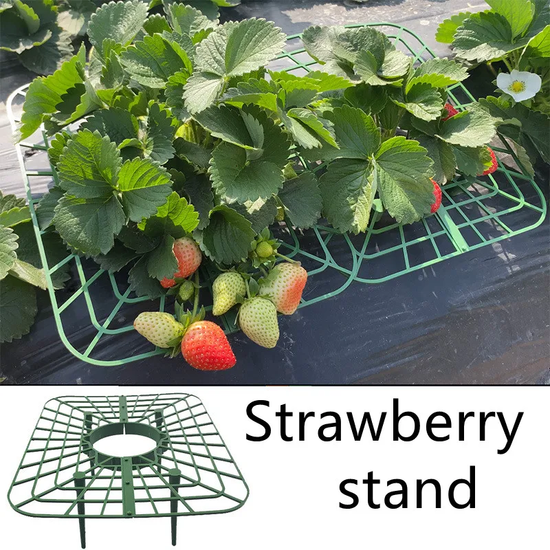 1/2/5/10PCS Strawberry Stand Frame Holder Balcony Planting Rack Fruit Support Flower Climbing Vine Pillar for Gardening Supplies