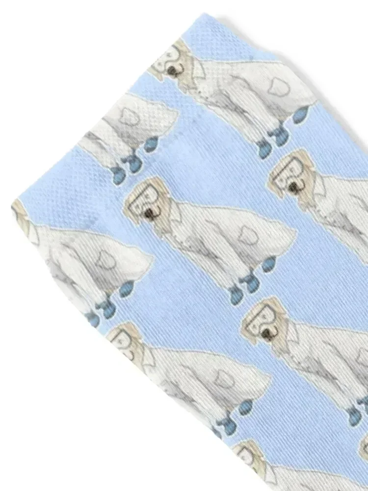 Science Lab Socks floral anime Wholesale warm winter Mens Socks Women's