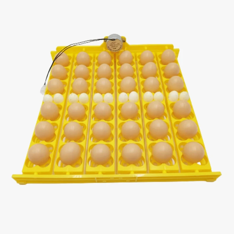 36 Eggs Automatic Incubator Egg Tray Egg Incubator Motors Home Chicken Farm Poultry Hatching