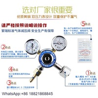 Standard gas pressure reducing valve YB12X-1.3T mixed high-purity gas 2 4 8 liter small steel cylinder regulator