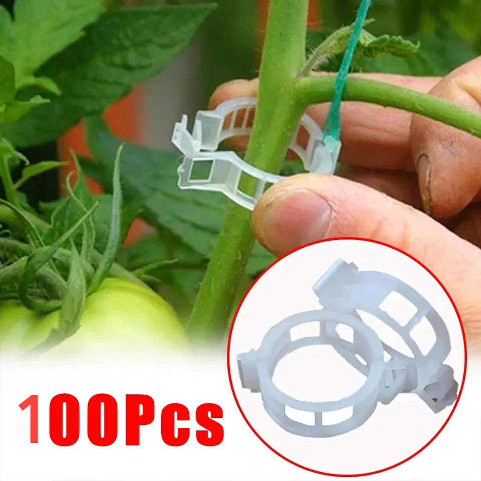 200/100PCs Kunststoff Pflanzen Unterstützung Clips Pfropfen Befestigungs Werkzeug für Gemüse Tomaten Garten Liefert Wiederverwendbare Anlage Reben