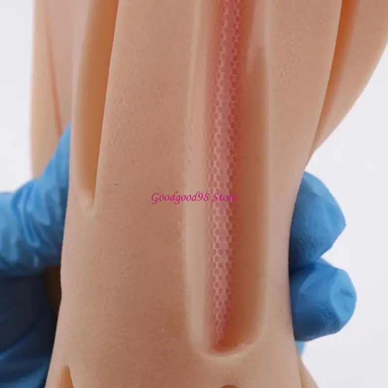 

Portable Suture Training Set with Realistic Silicone Skin Model for Learners