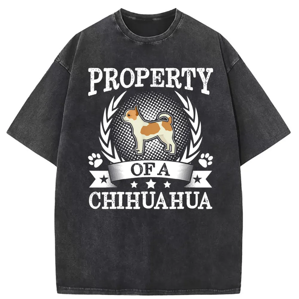 Property Of A Chihuahua Shirt Cute Dog Over New T Shirt Beach Long Sleeve Summer Mens Sweatshirts Hip Hop Sportswears