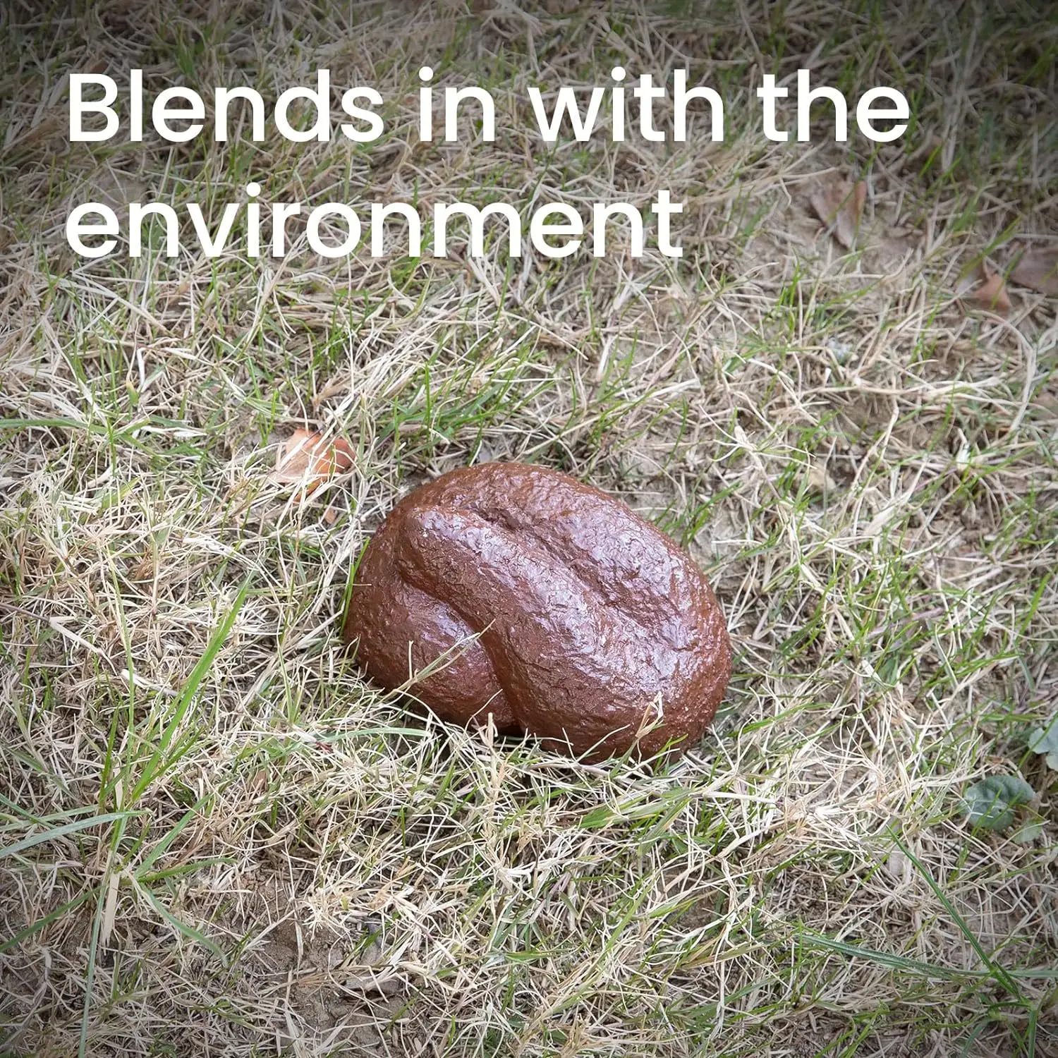Boîte de Rangement Cachée en Forme de Caca, Accessoire de SecExamen pour Décoration de Jardin, Cour et Prairie