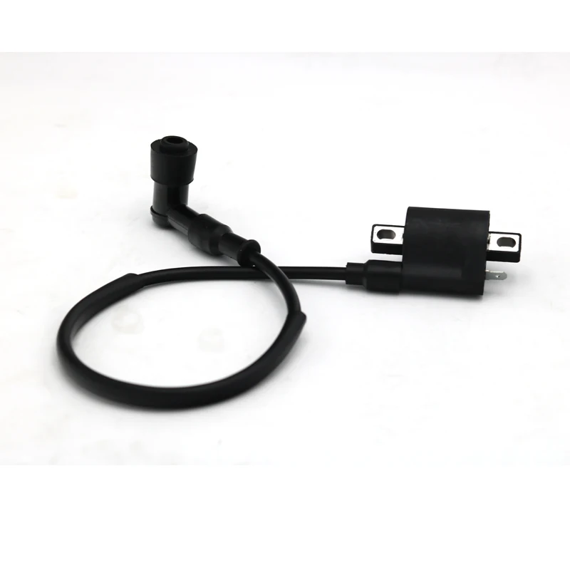 Motorcycle Ignition Coil High Pressure Coil 12V Black For  50 70 110 125 150 200 250cc D8TC CG ZJ  ATVs Go Karts UTVs Scooters