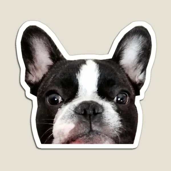 French Bulldog Vincent The Frenchie  Magnet Toy Stickers for Fridge Organizer Cute  Funny Home Decor Holder Refrigerator