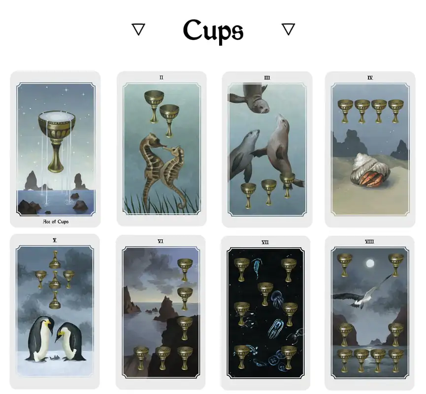 Anima Mundi tarot deck, 78 card deck with guide book, nature deck, occult divination card