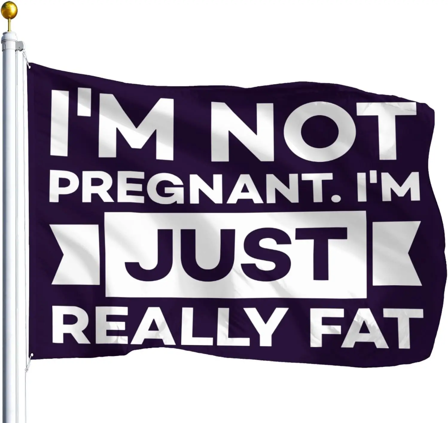 Flagicts 100% Polyester I'm Not Pregnant Just Really Fat Flags
