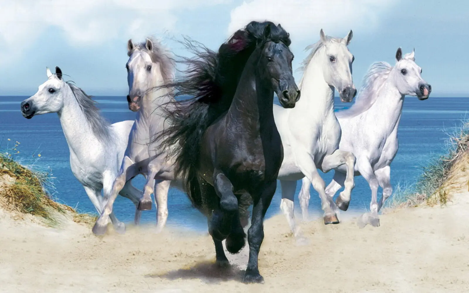 Dream Horses Stunning Art Canvas Poster for Living Room Decoration Home Wall Decor Decorative Picture