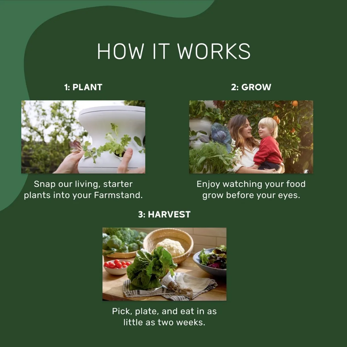 Farmstand Starter Kit + Seedlings | Medium Hydroponic Growing System Kit | Self-Watering Outdoor Vertical Garden Planter Tower