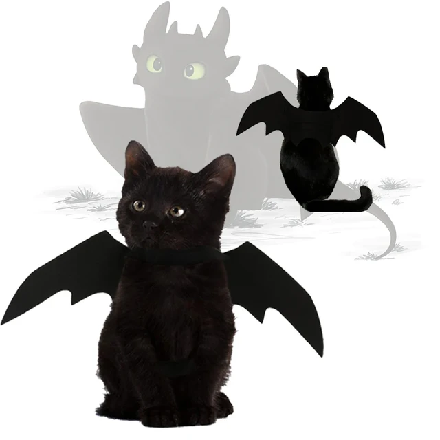 Dragon outfit for cat best sale