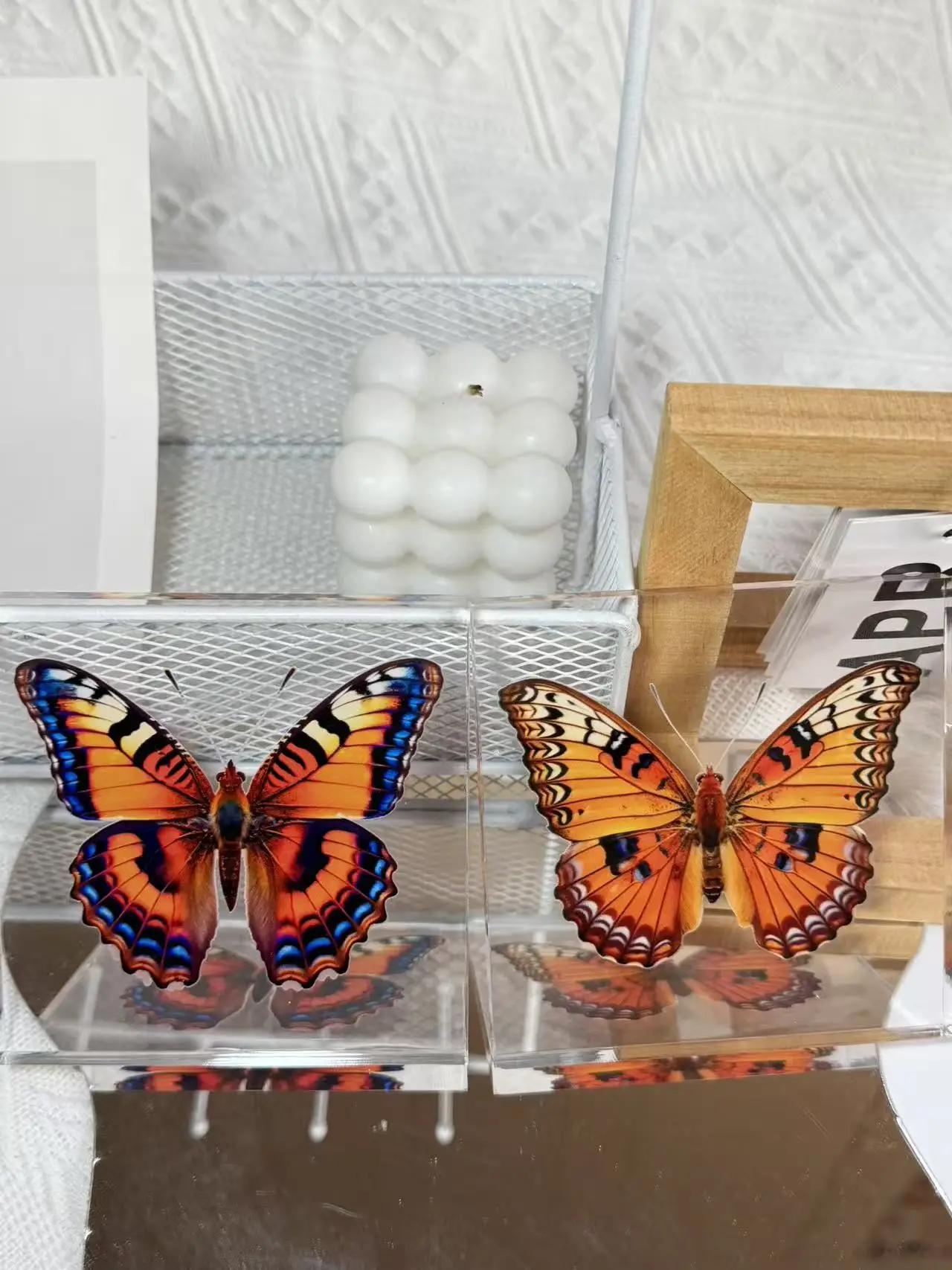 1 Stück Handgefertigtes Schmetterlings-Exemplar als Schreibtischdekoration, Kleine Ornament-Deko für Zuhause, Geschenk für Kinder und Mädchen – Detail 11