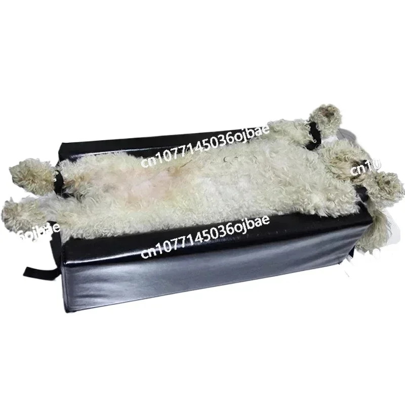 Animal Xray Machine Tools Veterinary Hospital Pet Use Radiographic Positioning  Aid X-ray Positioner X-ray Mat Small Size