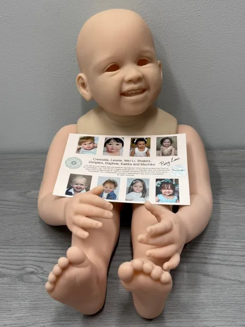 EGO Blank Unpainted Kit Shanti Reborn Vinyl Toddler Doll Without COA by Ping Lau 28