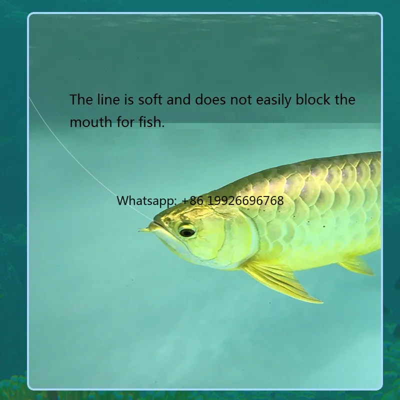 

Wholesale Nylon Fishing Line Big Size Super Strong Transparent Monofilament manufacturer