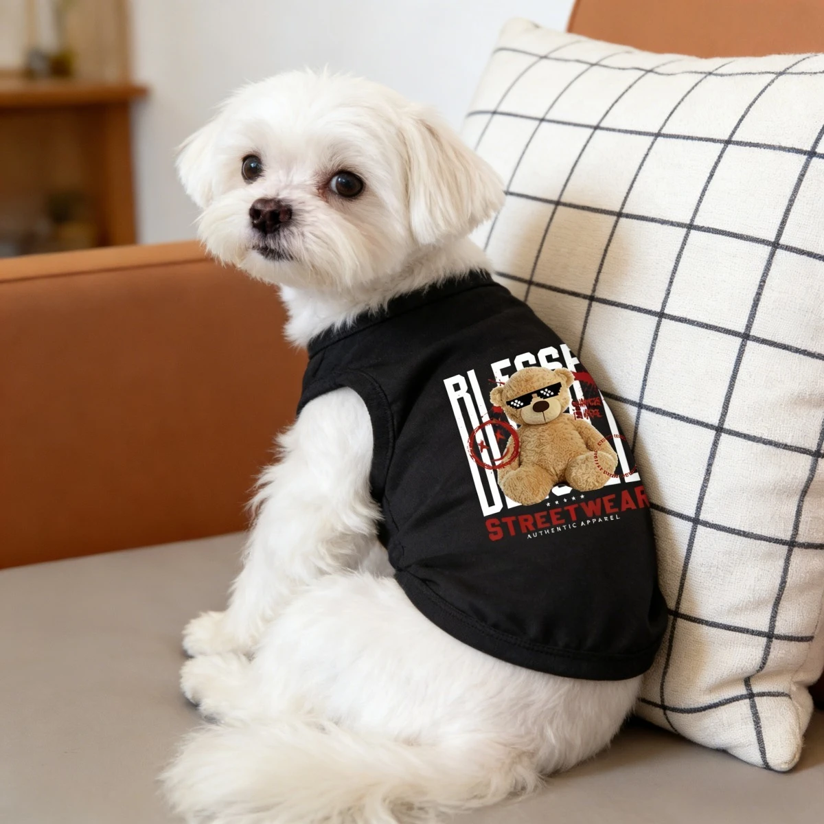 1 Piece Trendy Bear and Dog-style Black Vest, Lightweight Breathable Spring and Summer Streetwear for Maltese Dogs