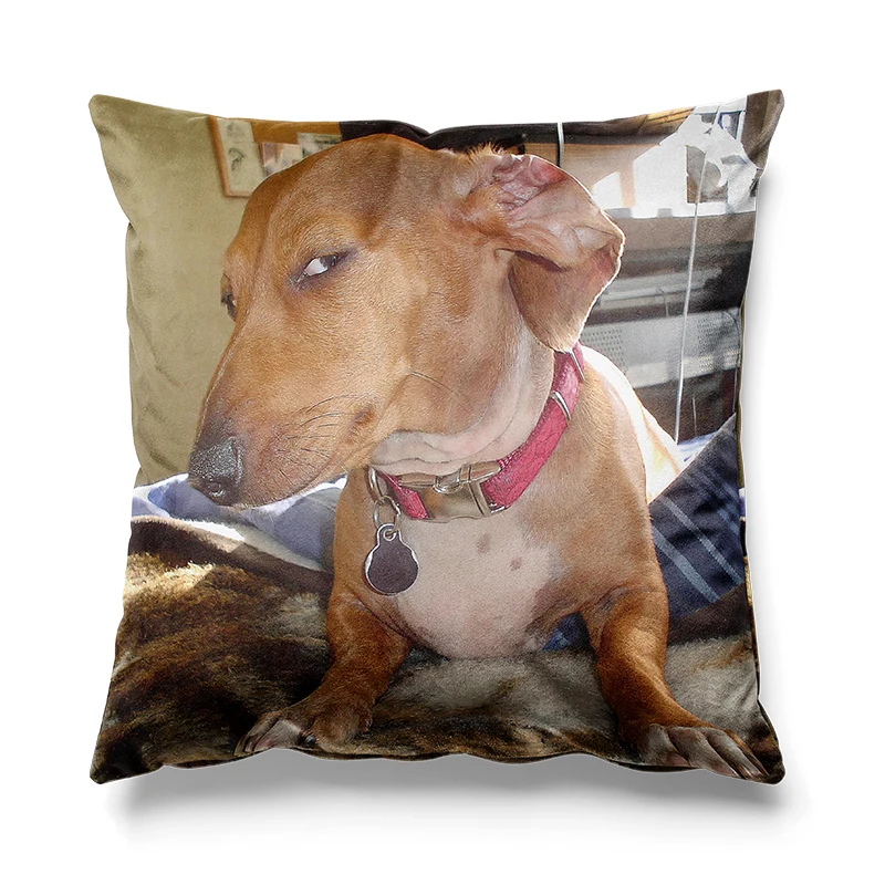 Aertemisi 18'' x 18'' Suspicious Sus Side Eye Dachshund Dog Square Throw Pillow Cushion Covers Cases Pillowcases 45cm x 45cm