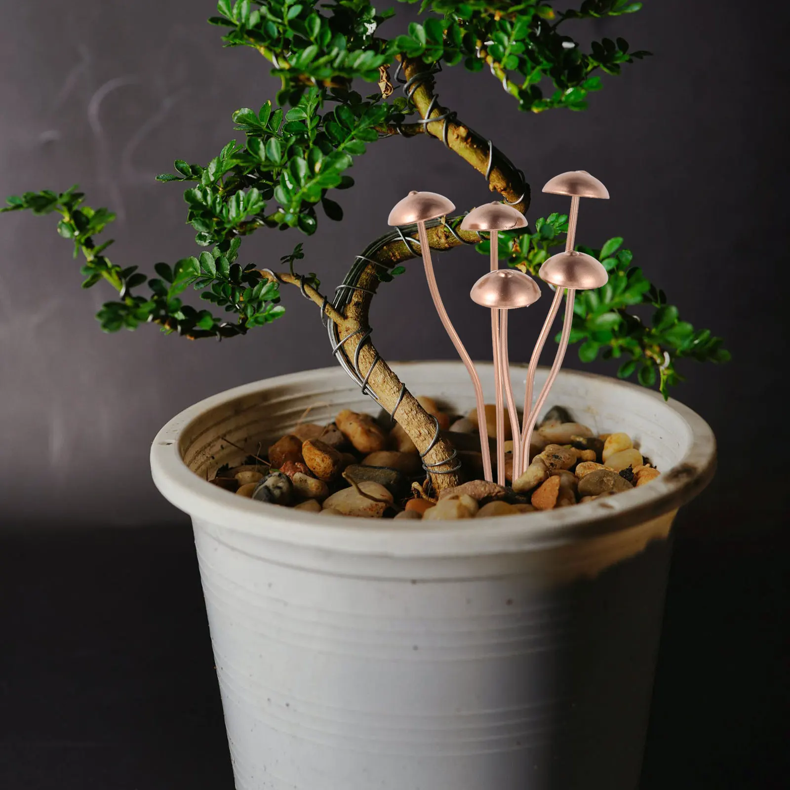

Unique Metal Mushroom Decor Outdoor Garden Stake Iron Mushroom Pot Planter Home Decoration Flowerpot Ornament