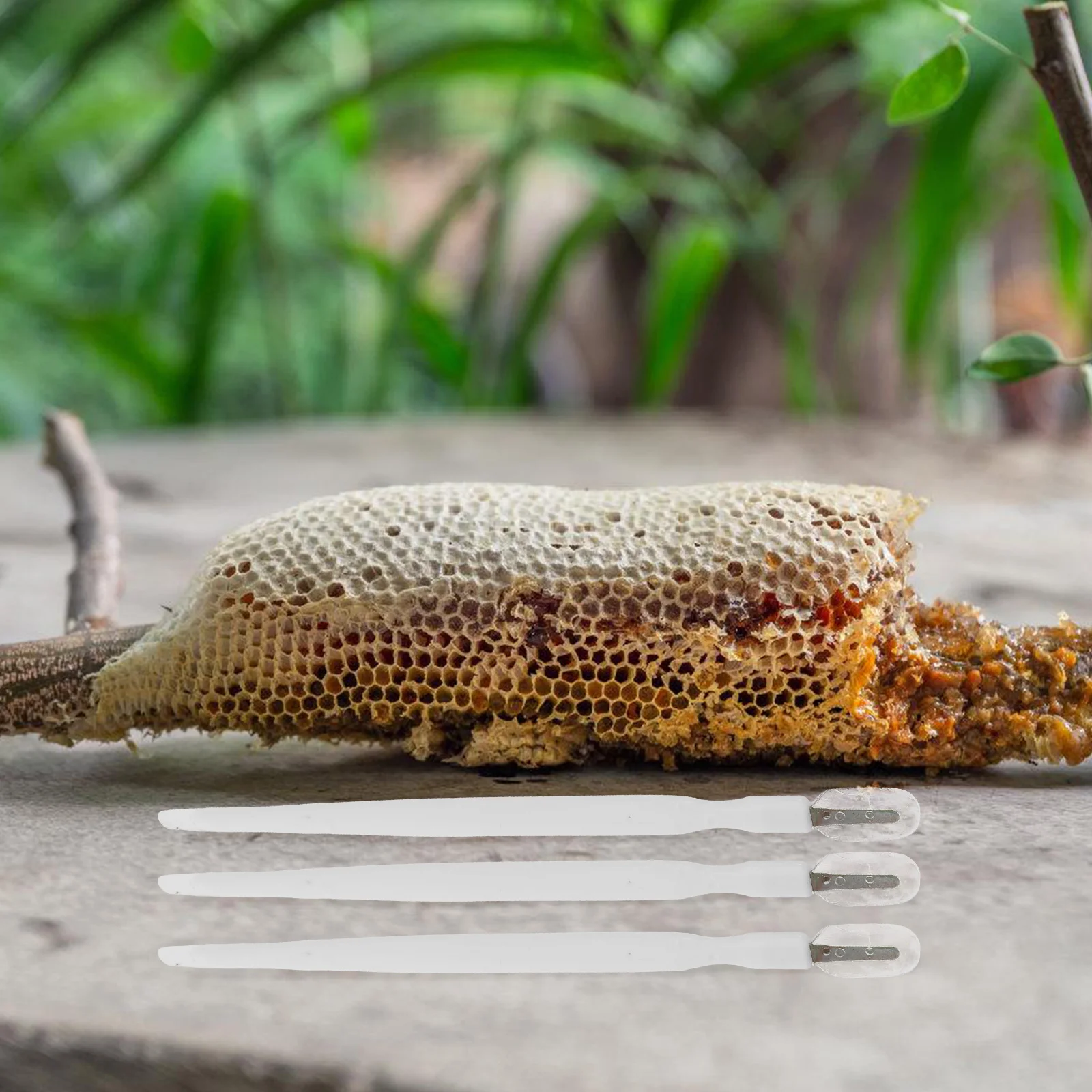 

10Pcs Honey Scraping Paste Pen Royal Jelly Extract Pen Beekeeping Supplies Hive Scraper Outdoor Tool Hive Scraping Tools