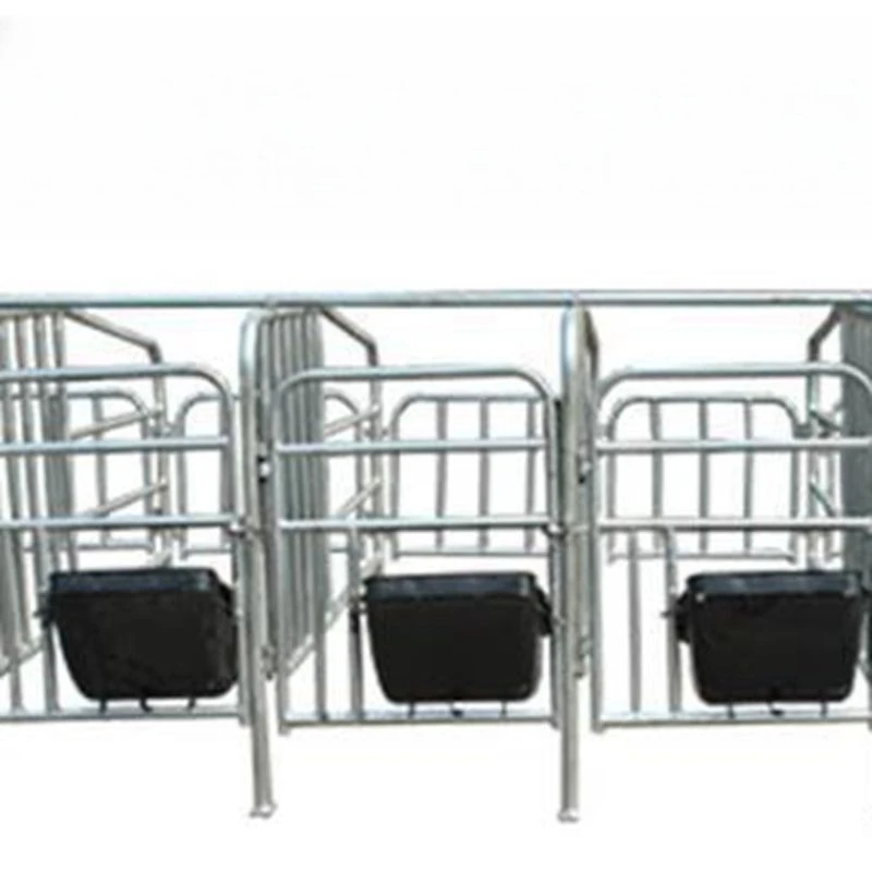 Pig raising equipment, limit bar, positioning bar, with composite plate leakage