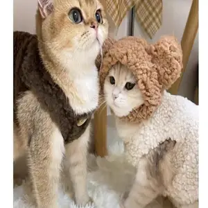 Kediler için takım elbisedeki 6 büyük satış, no. 4