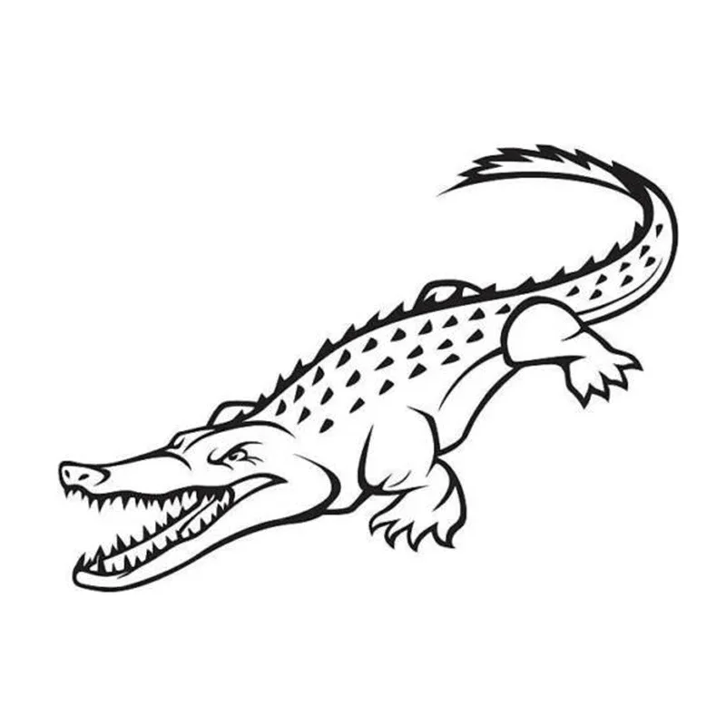 

Large fish shaped car windows, bumpers, motorcycle accessories, new JDM drifting vinyl decorative waterproof stickers