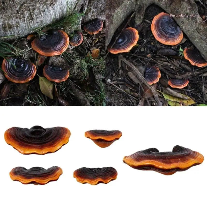 5Pcs/set Realistic Glossy Ganoderma Figurines Tree Sculpture Statues Garden Decorations Outdoor Yard Lawn Ornaments