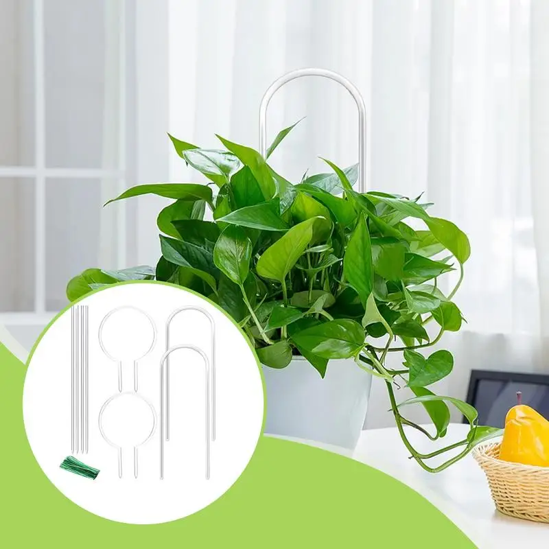 تعريشة نباتية على شكل حرف U تعريشة نباتية من الأكريليك لحامل قفص شفاف داخلي أوتاد نباتات منزلية مع ربطات عنق ملتوية وجذع مزخرف #3