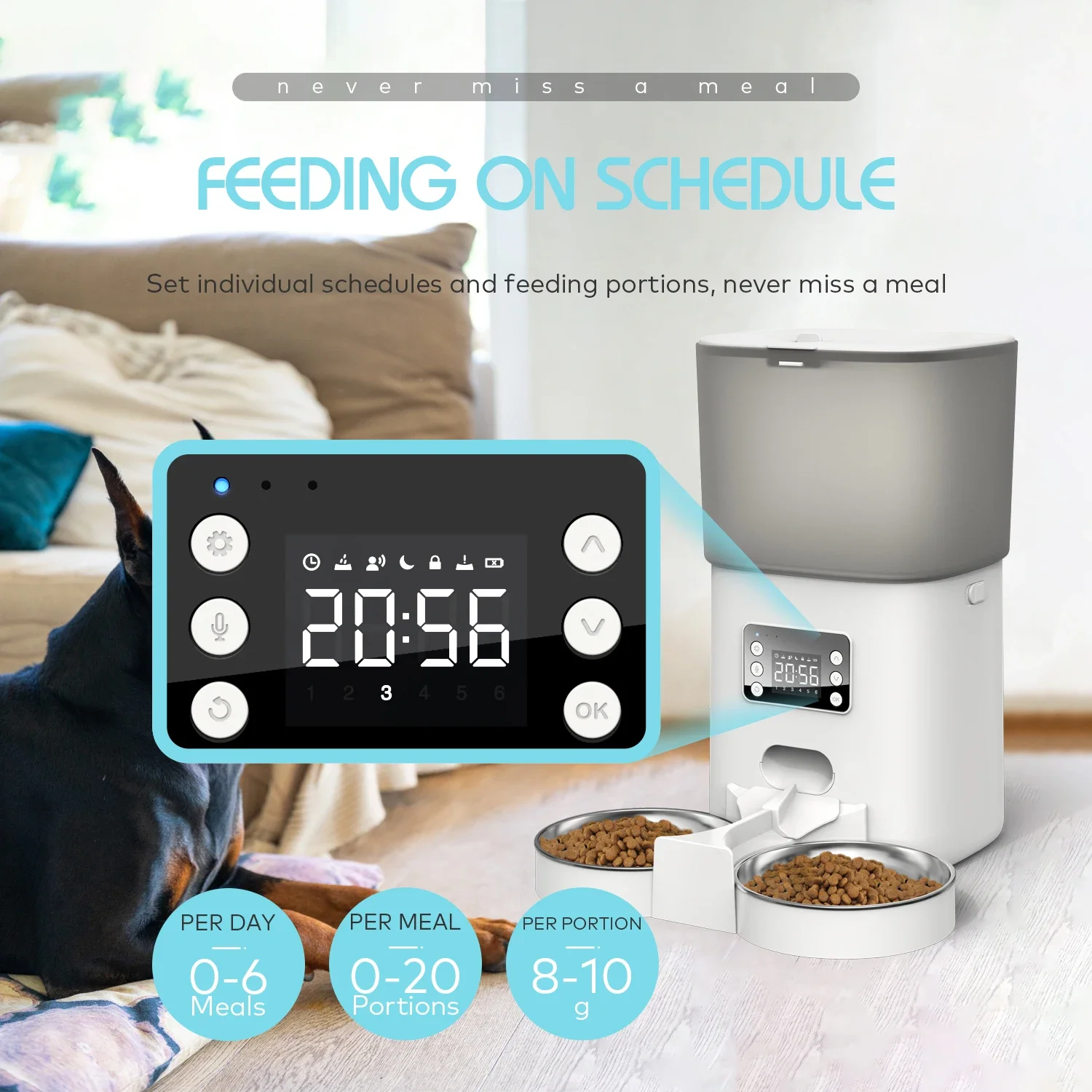 6L Automatic Pet Feeder with Two-Way Splitter Dispenser Timeding Cats Dogs Food Dispenser with Two Steel Bowls