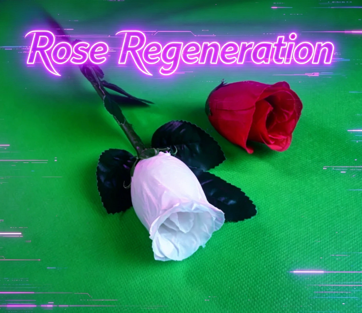truques-de-magica-de-regeneracao-de-rosa-magnetica-ilusoes-de-aparecimento-e-desaparecimento-para-palco-melhores-ilusoes-de-magia-aderecos-e-gimmicks-para-comedia