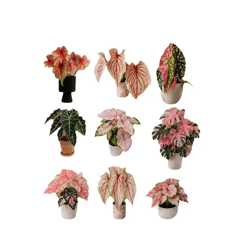 Rotatable Mini Artificial Plant Fridge Magnets Renters Friendly Realistic Leaf Decor for Home Dorm Kitchen