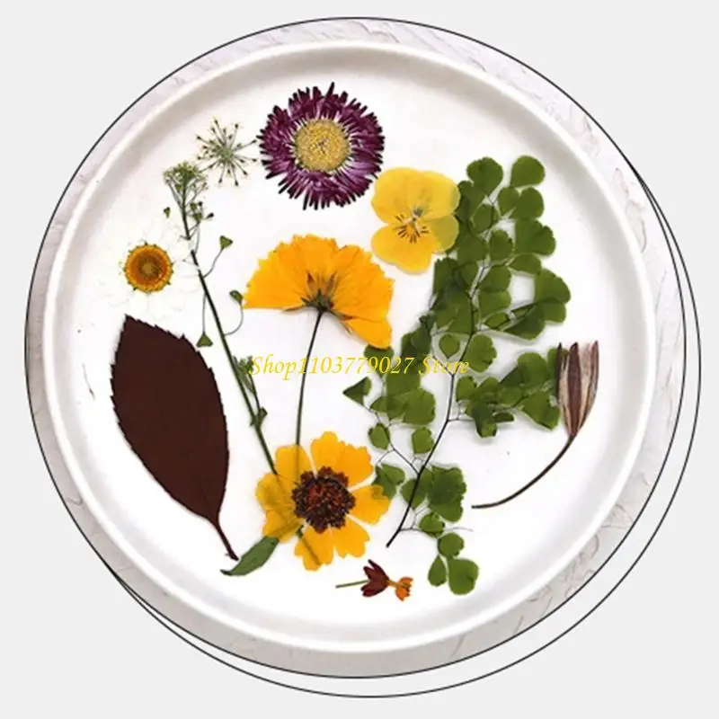 C4DF Flor seca prensada para moldes resina Hojas flores secas prensadas naturales para jabones jabón remolinos