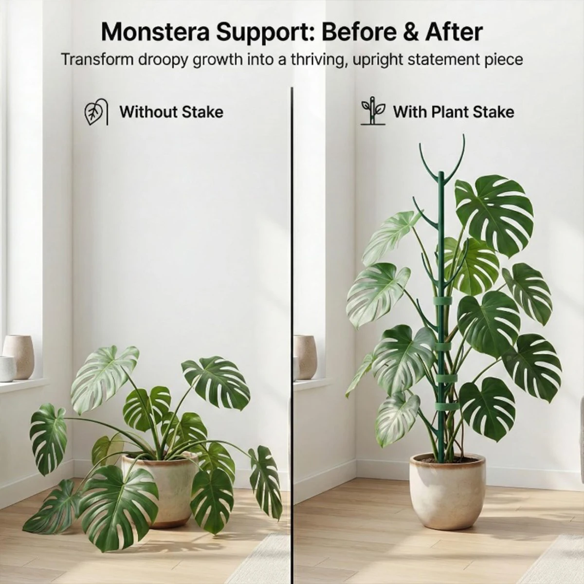 6 Buah Penyangga Tanaman Monst - Variegated Monstera Node ulasan dan harga