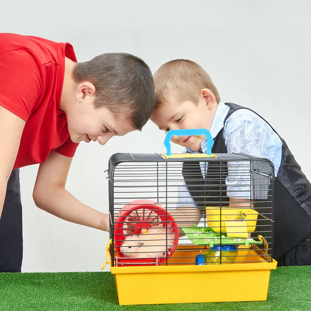 

10pcs Portable Pet Handle Replacement Durable Plastic Lifting Handles For Dog Crate Bird Cage Outdoor Use Detachable Cage Handle