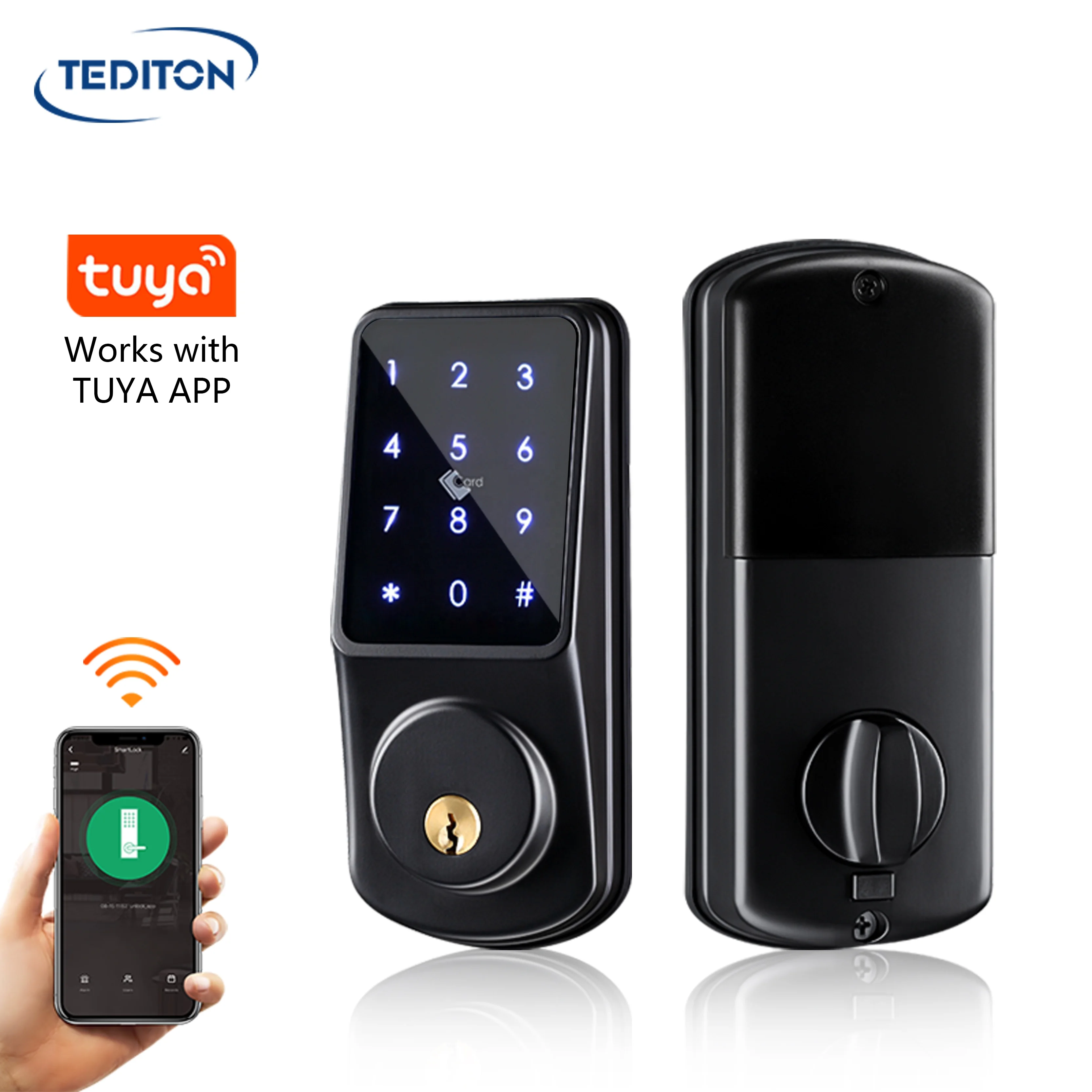 Tediton waterproof cerraduras wifi Keyless remote control door handle tuya smart deadbolt lock digital door lock