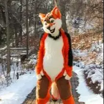 Disfraz de Mascota de Zorro o Perro Husky de Pelo Largo Naranja y Blanco - Traje de Dibujos Animados para Halloween, Fiesta, Disfraz para Todas las Edades