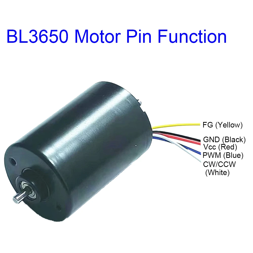 BL3650 DC 12V 24V Brushless Motor with Driver and Hall Sensor, High Speed 3000 4000 5000 6000 7000 8000 9000 10000 RPM 545 Motor