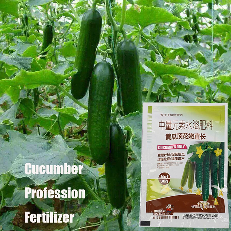 1Pack Professional Cucumber Fertilizer Special for Straightening Promote Growth Top Flower Garden Crop Plant Fertilizer
