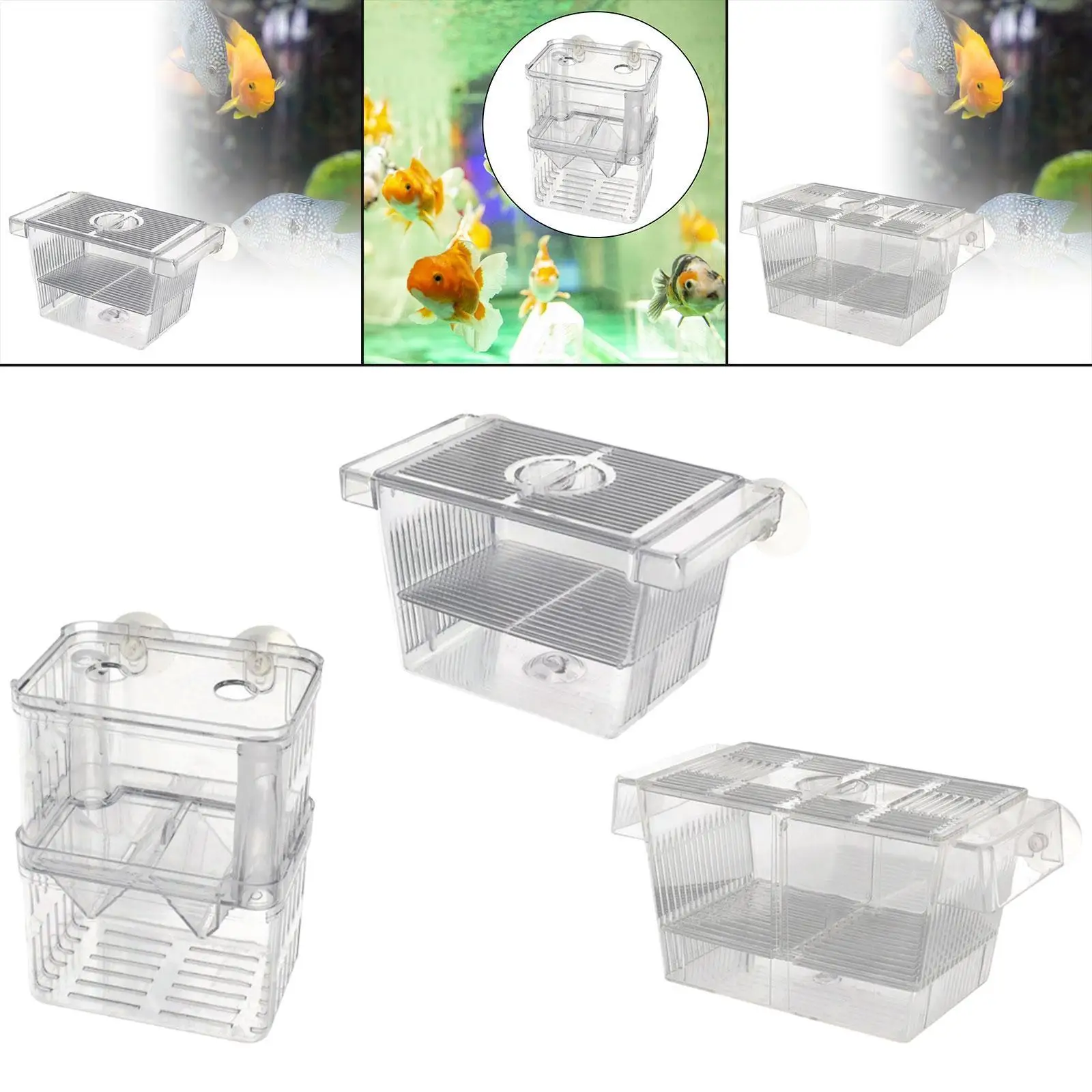 Caja aislada para cría de peces con ventosas, flotador de caja para incubar acrílico transparente para pez payaso Guppy Betta