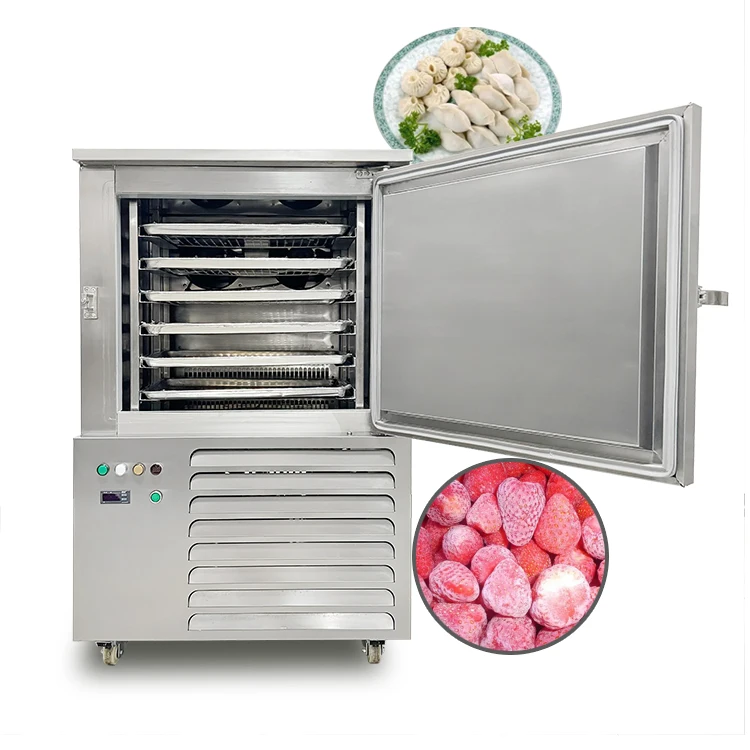 220V 50Hz 1.7kW Fish Fast  Machine Blast Chiller Shock Freezer 6 Trays Flash Freezer Quick Fast  Machine
