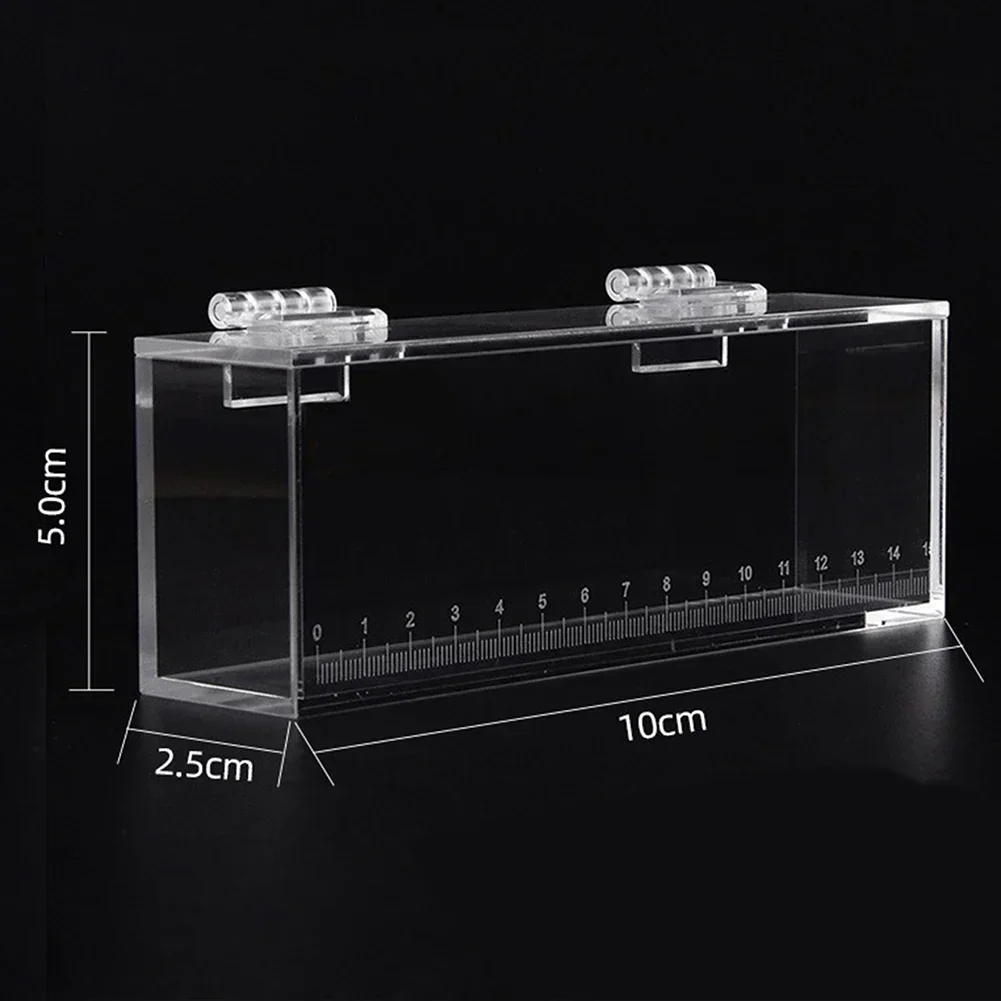 Acrylic High Clear Fish Viewing Box With Scale Fish Tank For Bitterling Gobies Outdoor Stream Fishing (79 Characters)