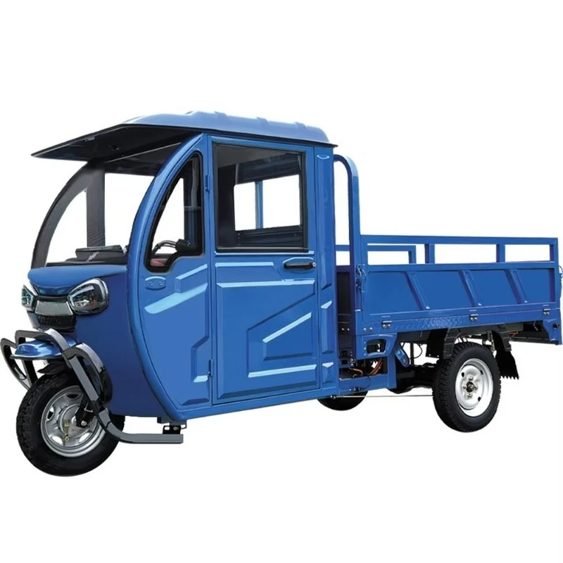 Quality Certifications 2 Seat 60v 800w Electric Adult Tricycle Cargo