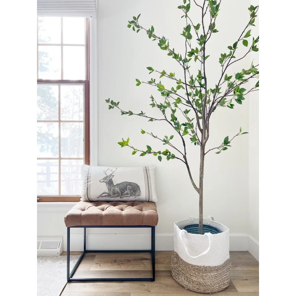 6.5 'ประดิษฐ์ Citrus Minimalist ต้นไม้ตกแต่งบ้าน