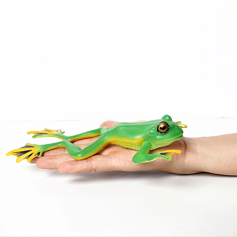 Figura de personaje realista de animales de la selva tropical, ranas, árbol, Rana, Tadpole, Groth Cycle, modelo educativo, juguetes de colección