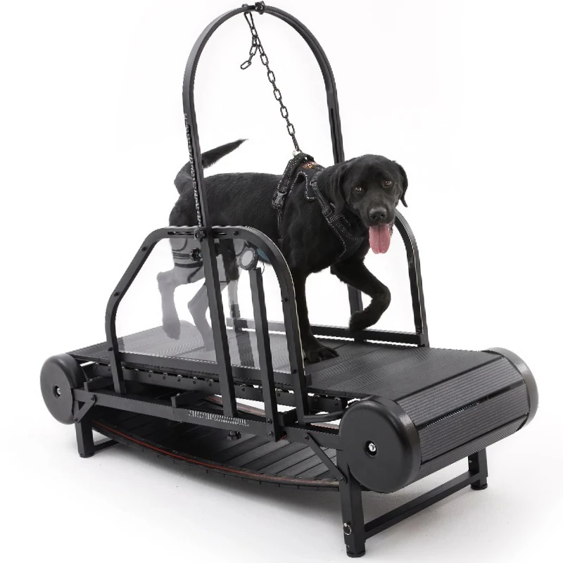 

Dog Sport Treadmill, Non-electric Training Equipment
