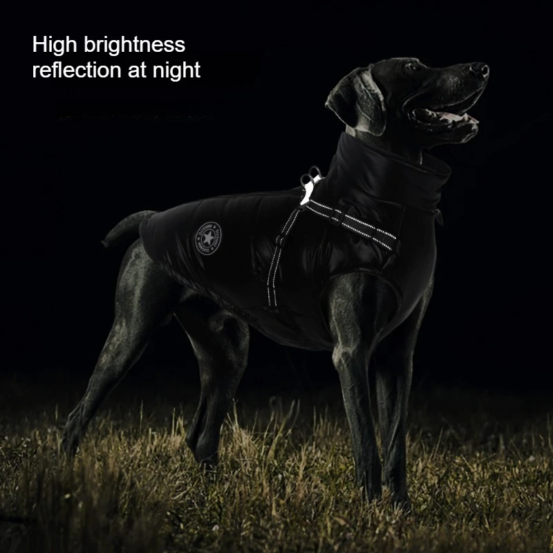 Thumbnail 2 - #37 Dog Apparel Comparison Guide