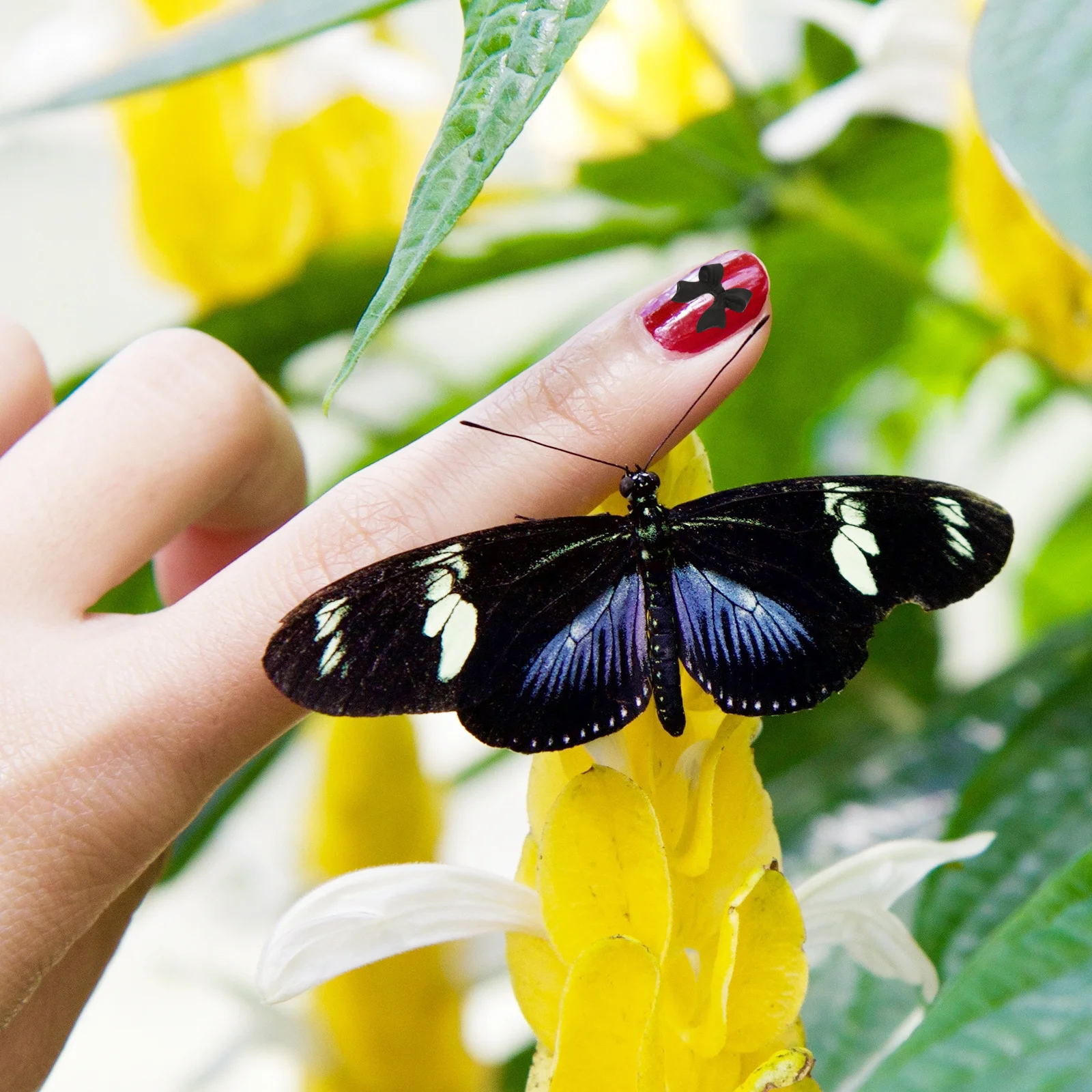 

100Pcs Bow Nail DIY Charms Resin Manicure Decor Creative Bow Shape Nail Art Accessory Unique Design Manicure DIY Accessory