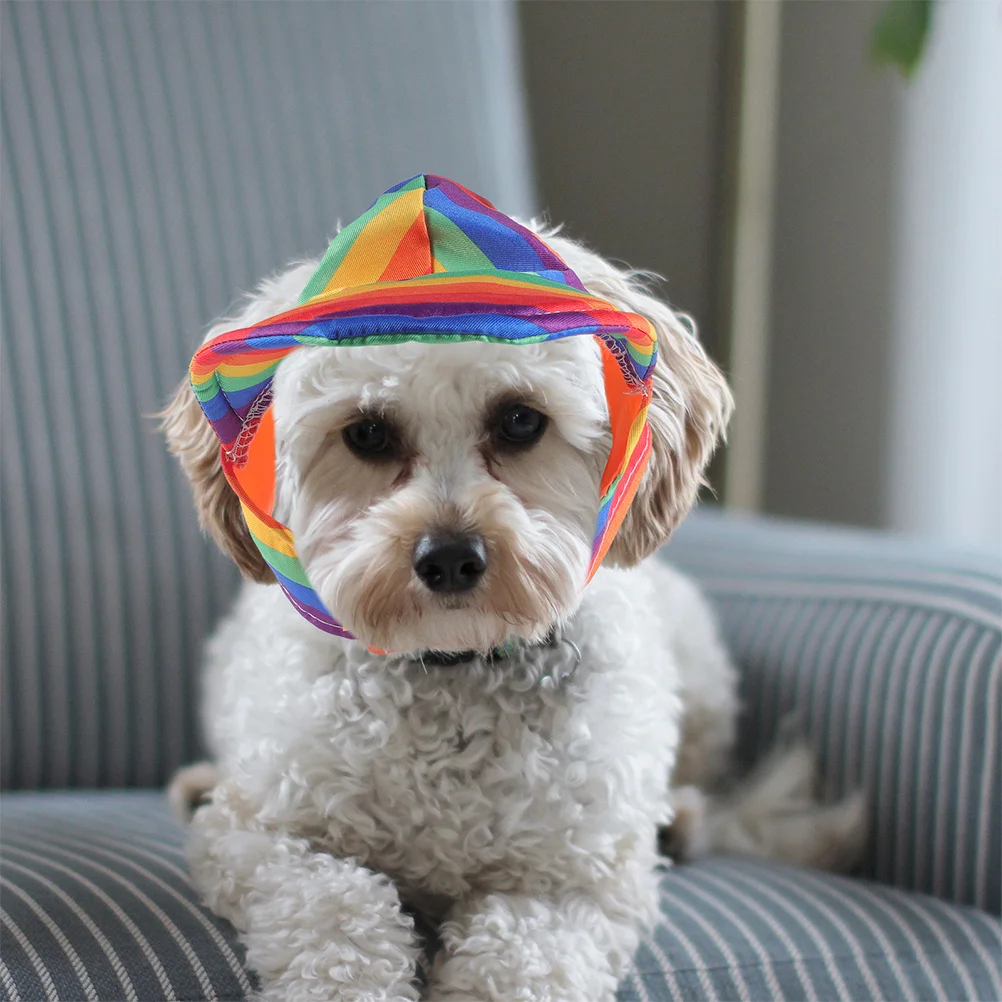 

Rainbow Pet Baseball Cap Breathable Comfortable Sun Hat Outdoor Hat for Dogs Cats Small Pets Dog Rainbow Baseball Cap