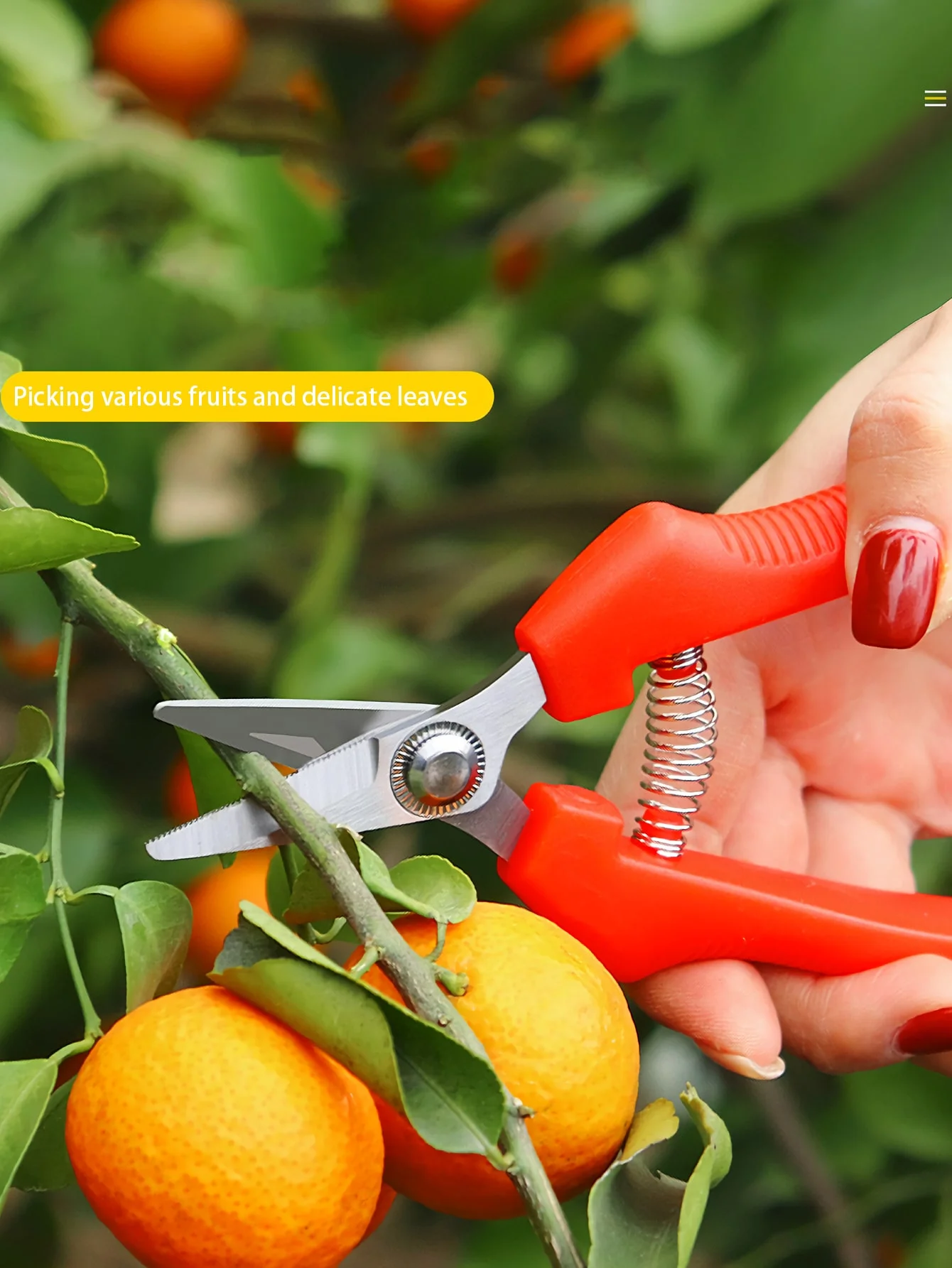 قطعة واحدة من مقصات التقليم البسيطة، مقص فرع نباتات من الفولاذ المقاوم للصدأ، للحدائق الخارجية #6